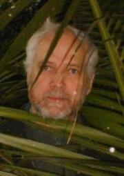 Et billede, der indeholder Ansigt, person, palme, menneske

AI-genereret indhold kan vre ukorrekt.